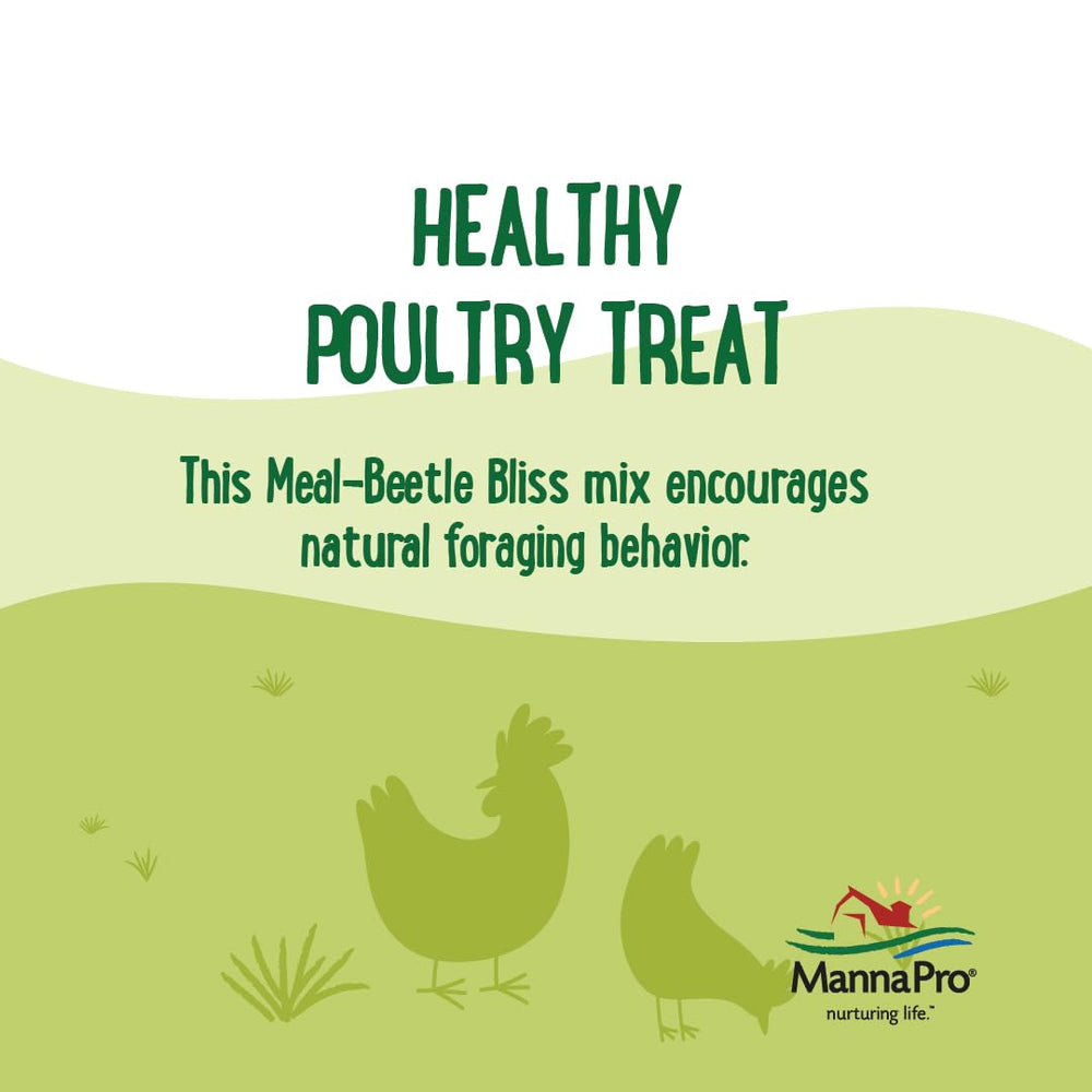 A mixed flock with Manna Pro Beetle Bliss poultry treat.