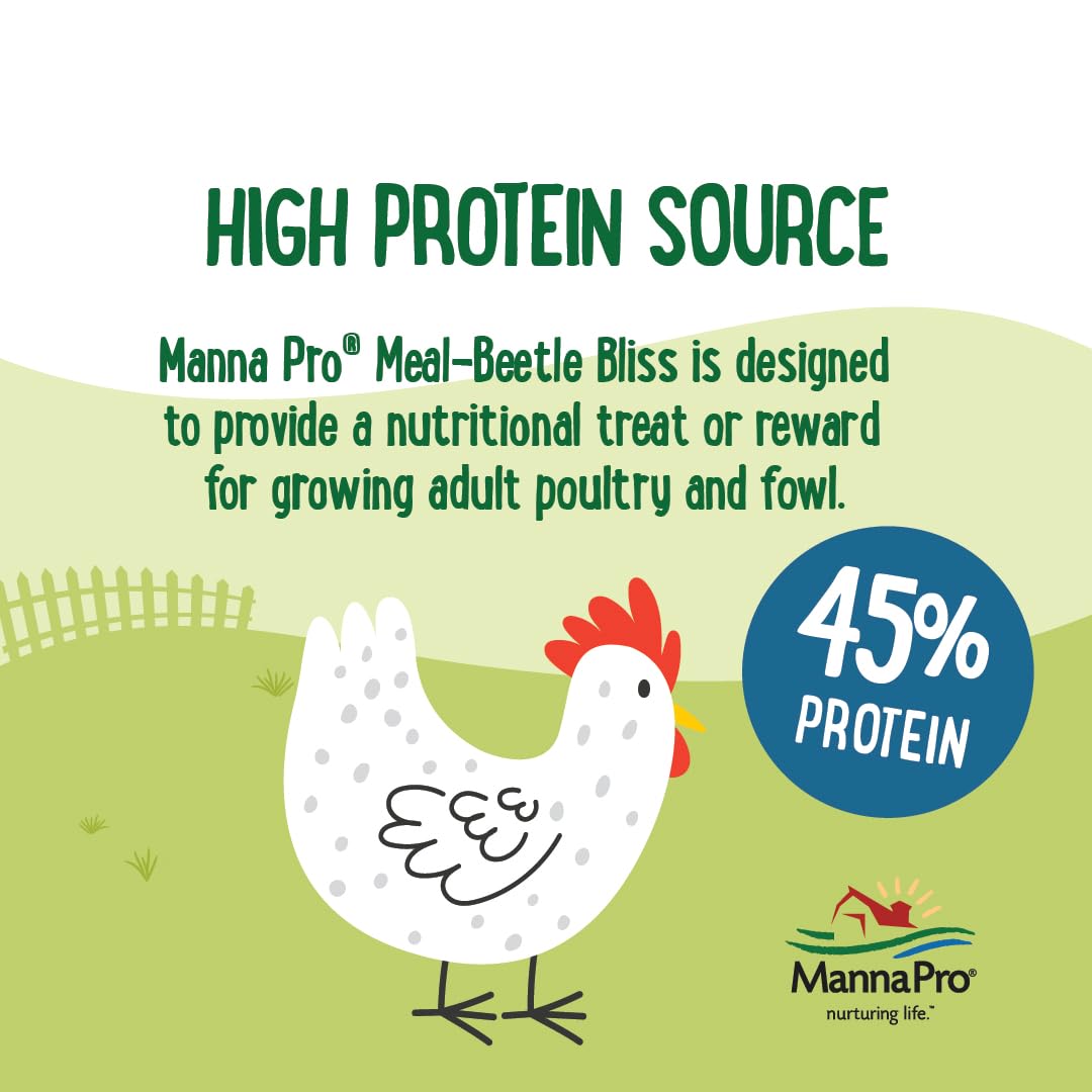 Poultry enjoying Manna Pro Beetle Bliss as a treat.