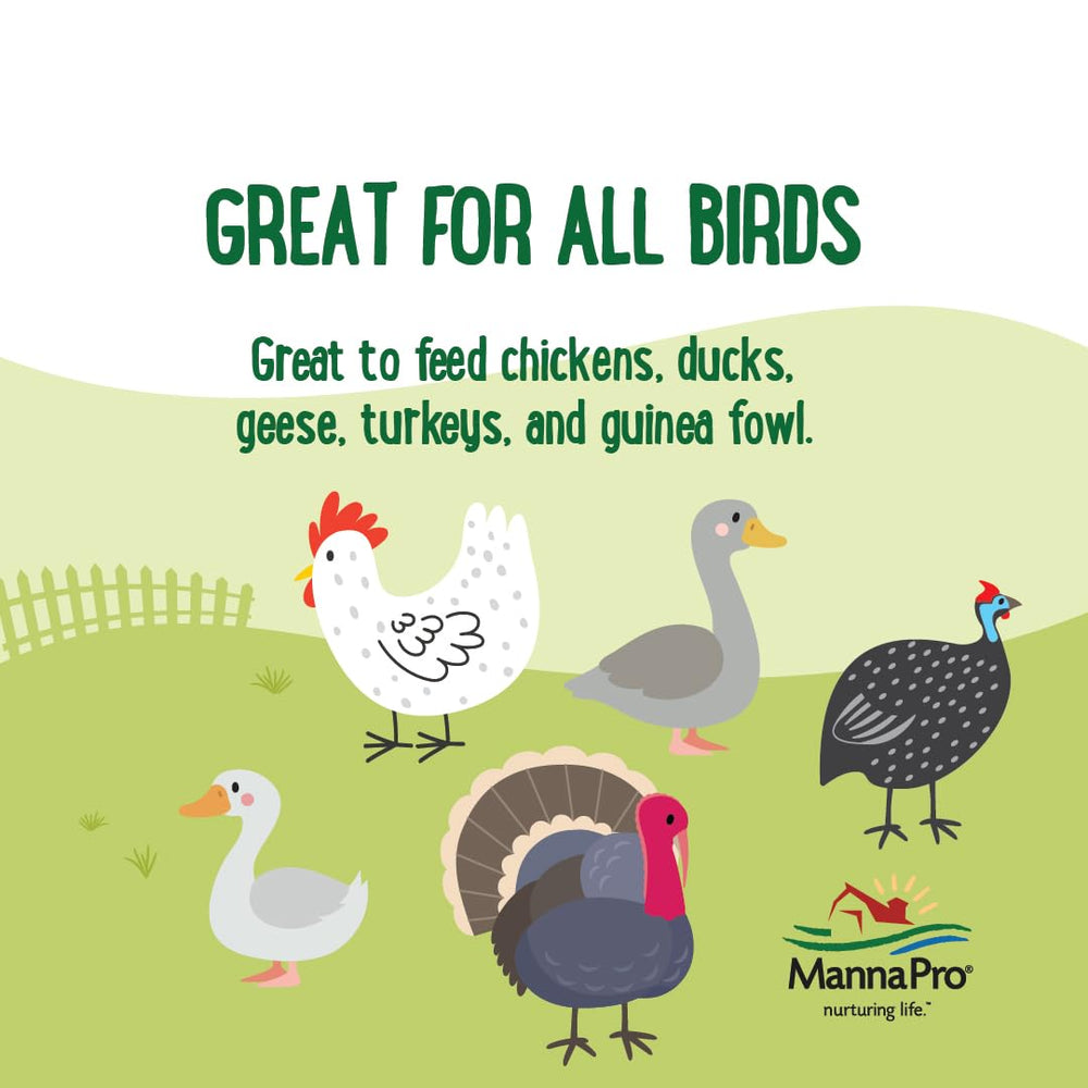 The refillable jug for Manna Pro Beetle Bliss poultry treat.