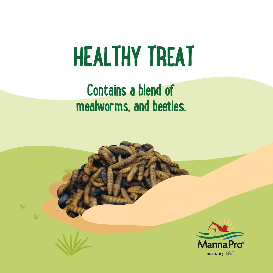 A close-up view of Manna Pro Beetle Bliss poultry treat.