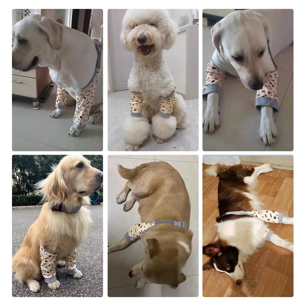 MANON ROSA Dog Elbow Pads shown covering a dog's front leg.