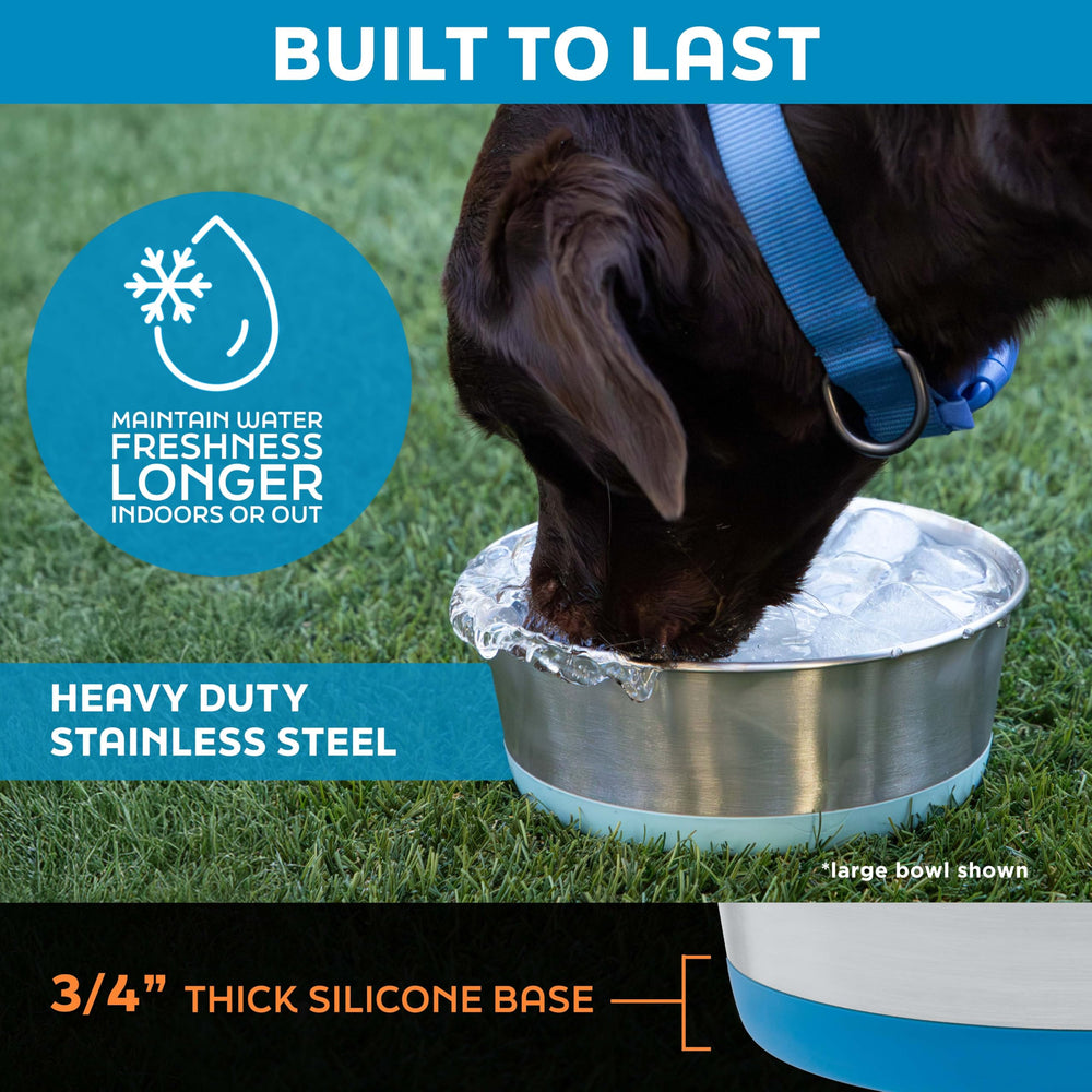 Master Pet Supply dog bowls shown side by side from the side.