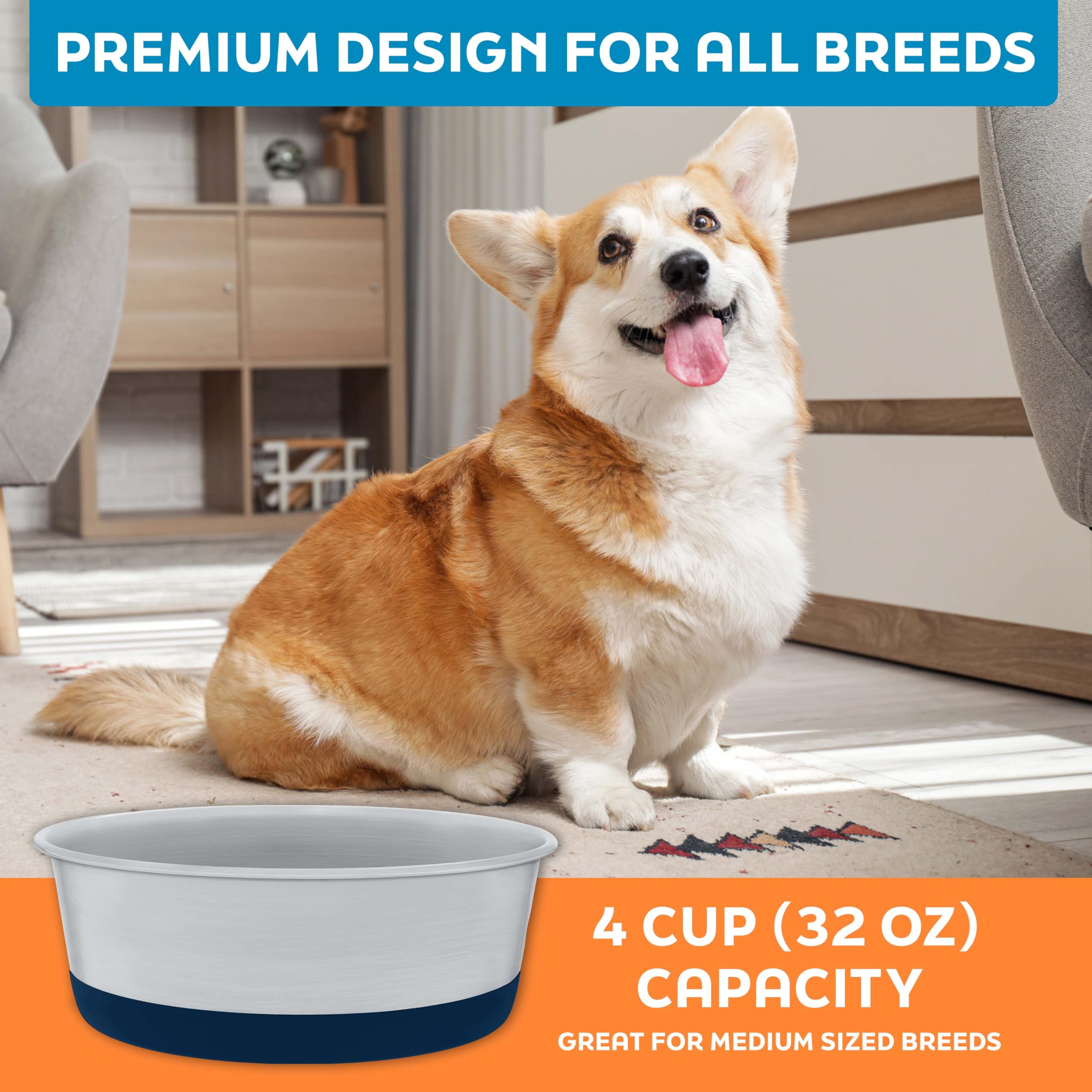 Master Pet Supply dog bowl close-up showing the stainless steel rim.