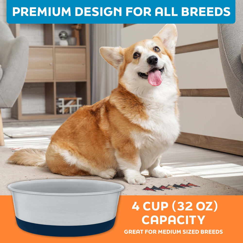 Master Pet Supply dog bowl close-up showing the stainless steel rim.