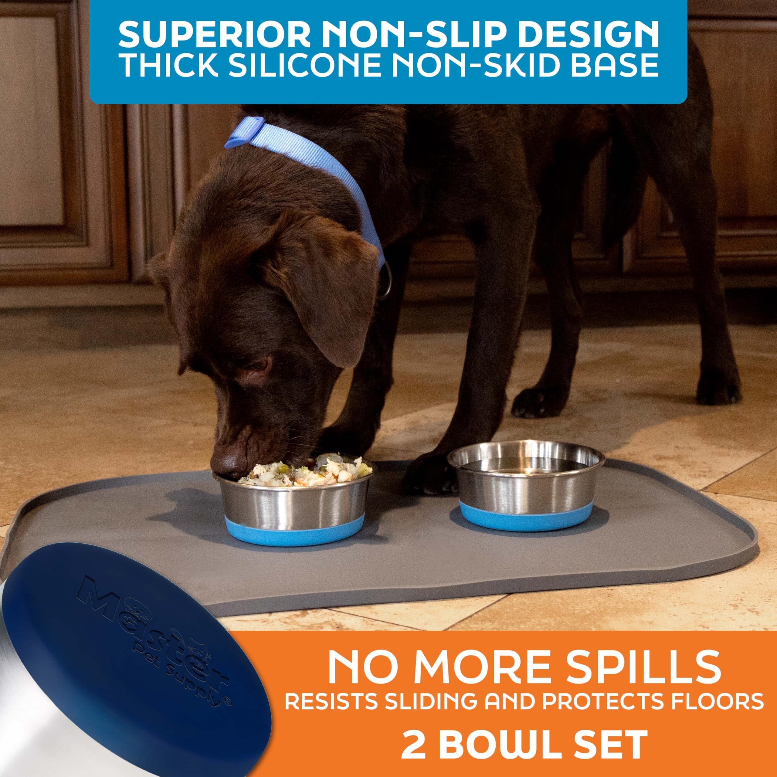 Master Pet Supply dog bowl shown serving fresh water.