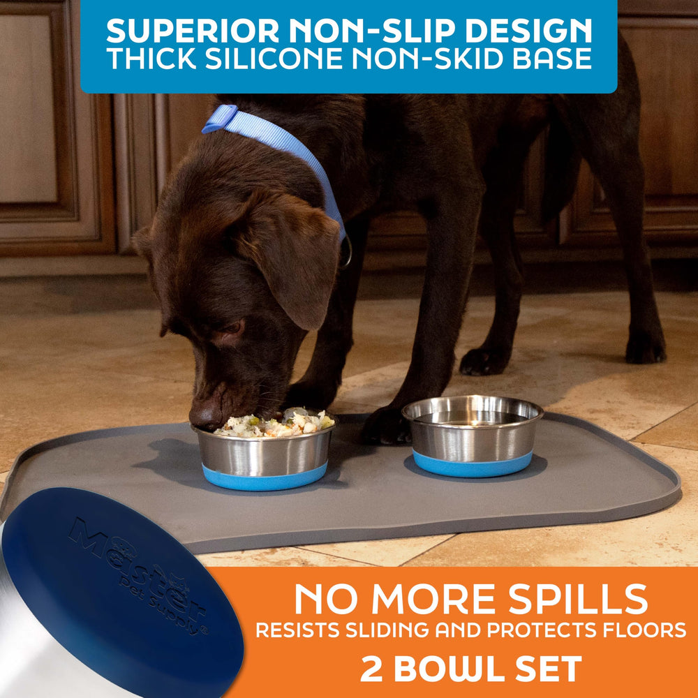Master Pet Supply dog bowl shown serving fresh water.