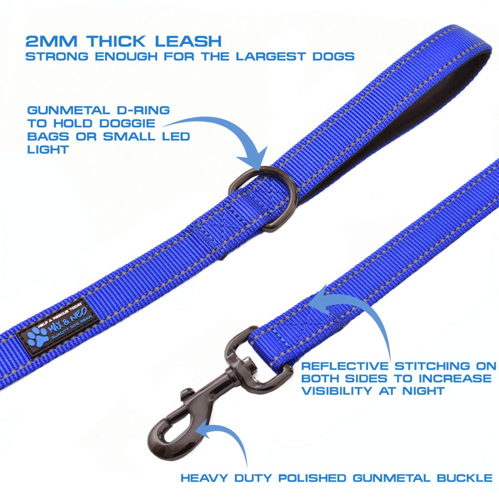 Max and Neo Double Handle Traffic Dog Leash showing the D-ring near a handle.
