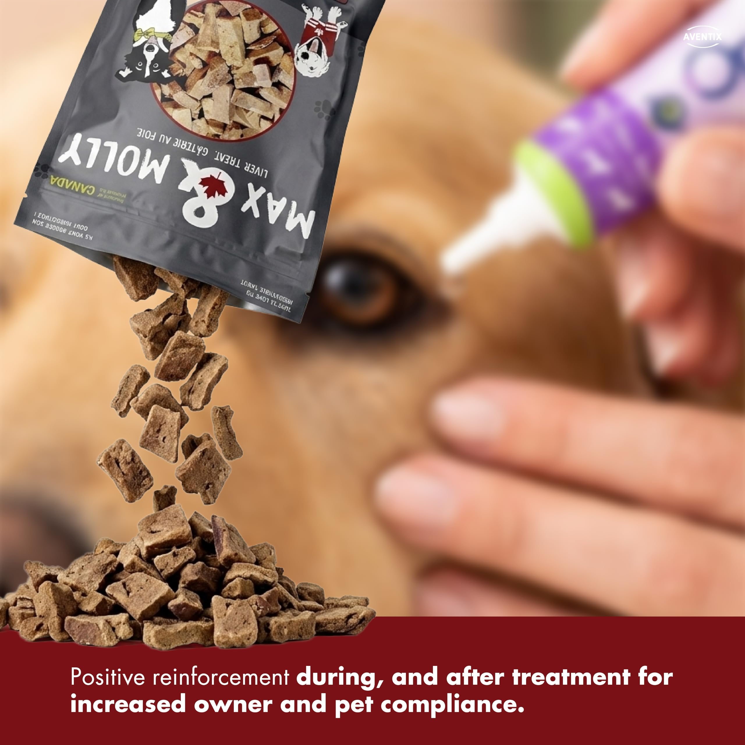 Max & Molly beef liver dog treats being used as a training reward.