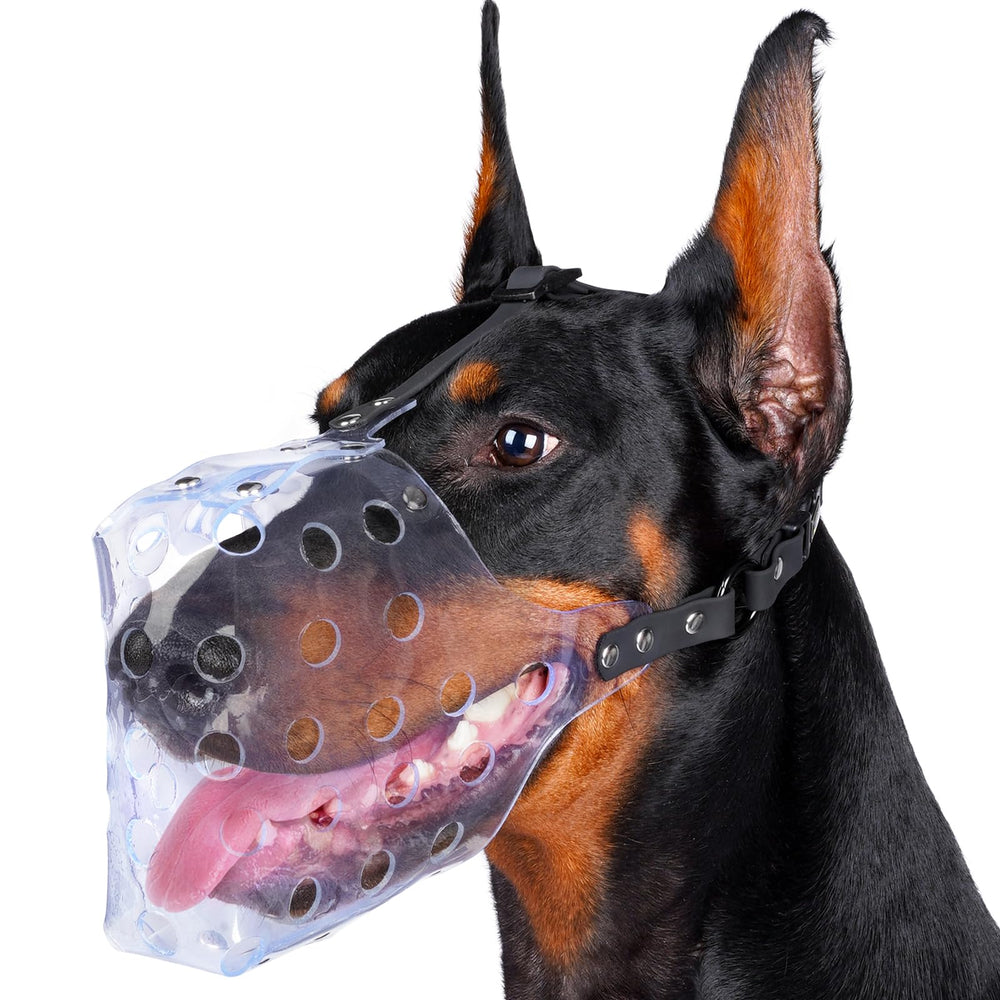 Mayerzon clear basket dog muzzle shown from the front.