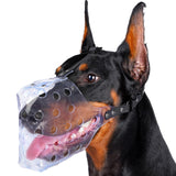 Mayerzon clear basket dog muzzle shown from the front.
