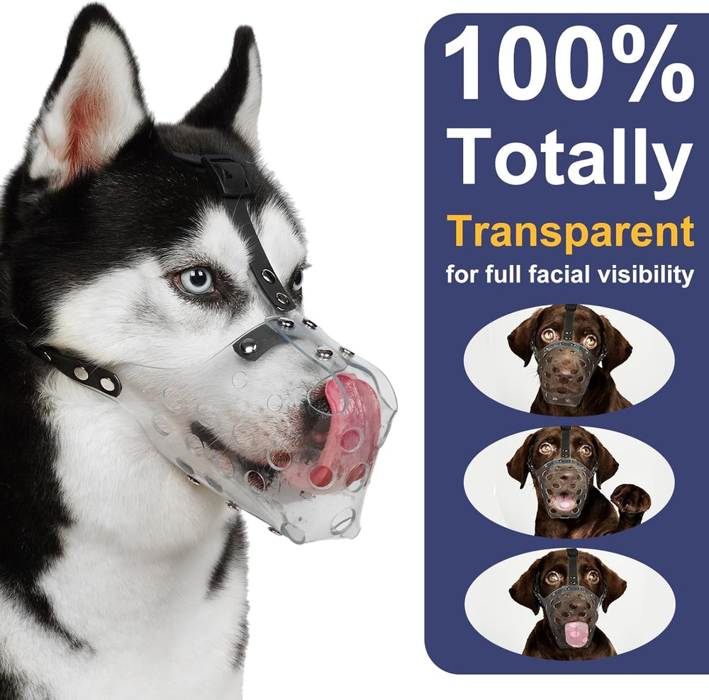 Mayerzon clear basket dog muzzle shown from a side angle.