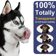 Mayerzon clear basket dog muzzle shown from a side angle.