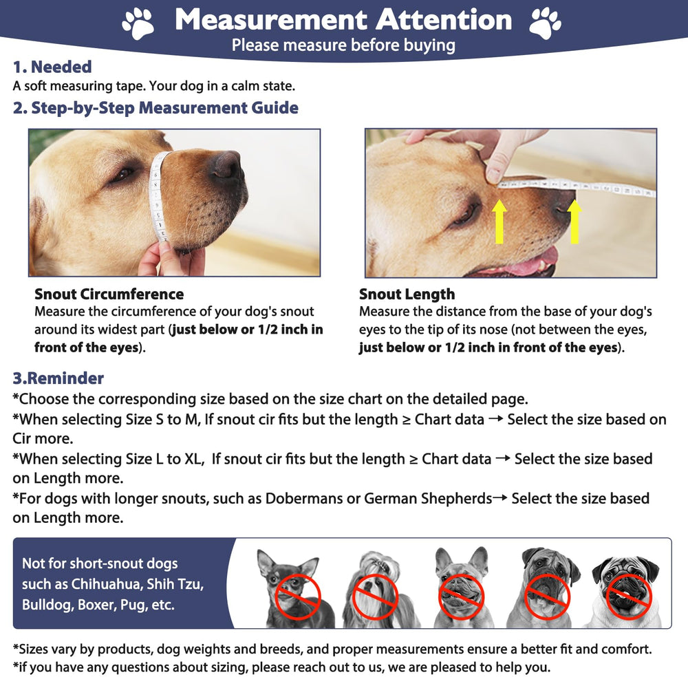 Mayerzon clear basket dog muzzle shown worn by a dog.