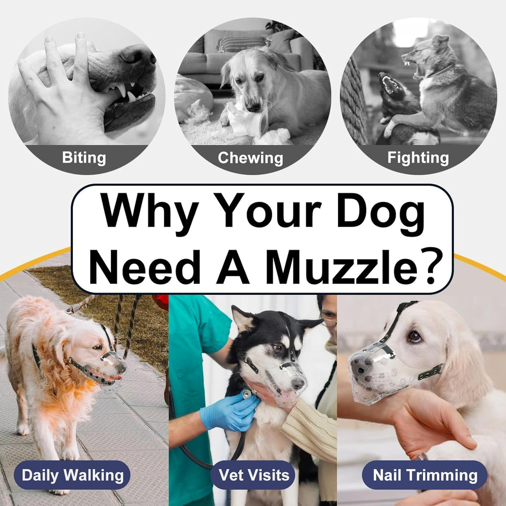 Mayerzon clear basket dog muzzle size guide showing snout measurements.