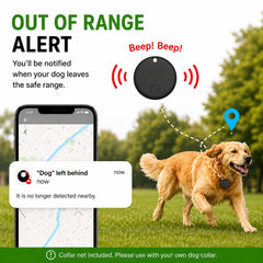MDTZULIK dog tracker collar with its breakaway buckle in focus.