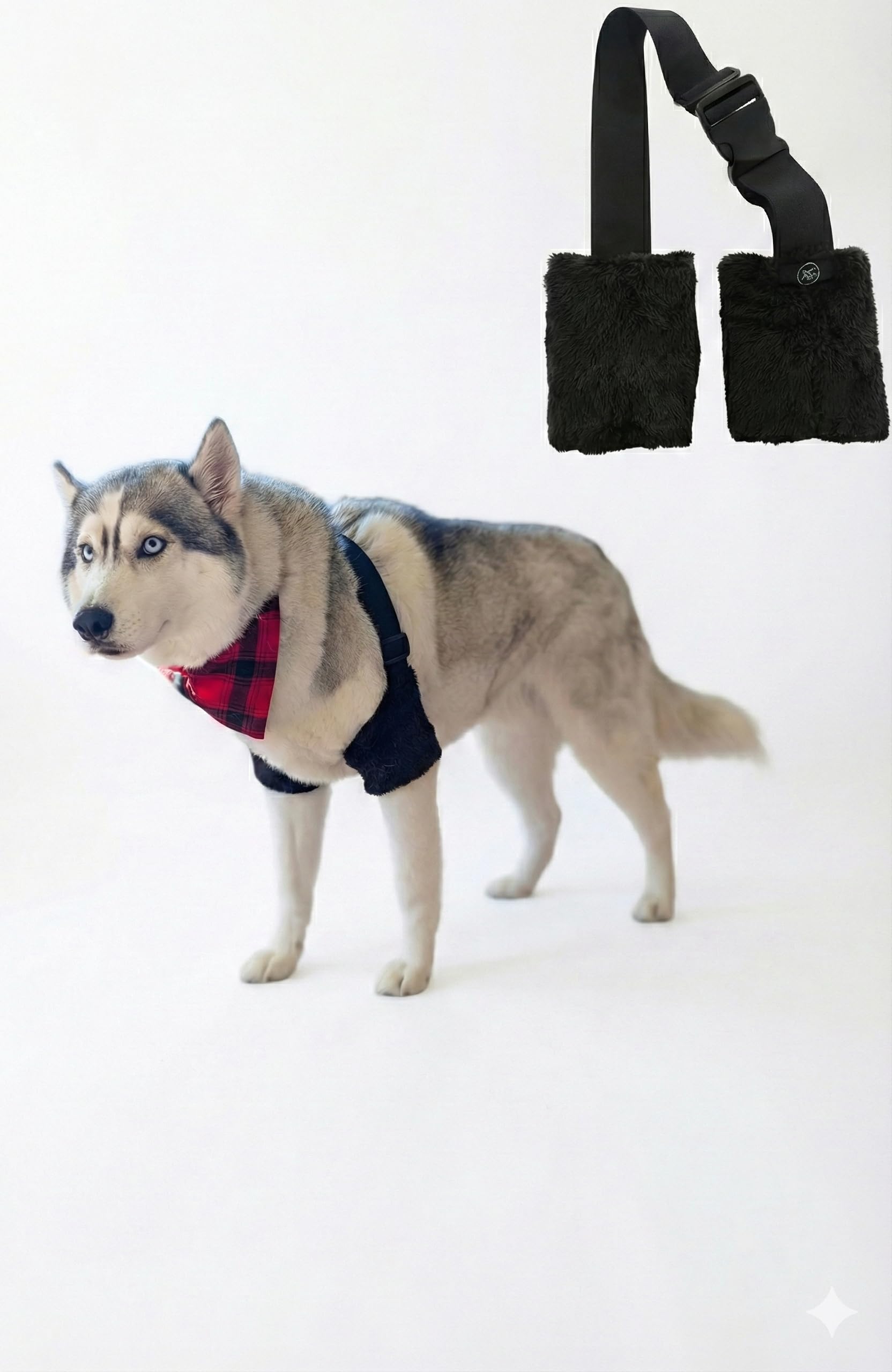 ME Miller Eclipse Dog Elbow Pads shown from the front.