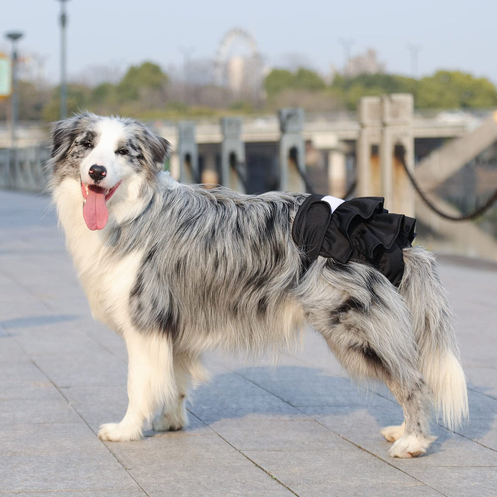 Mengelina female dog diapers shown with their carry-friendly box.