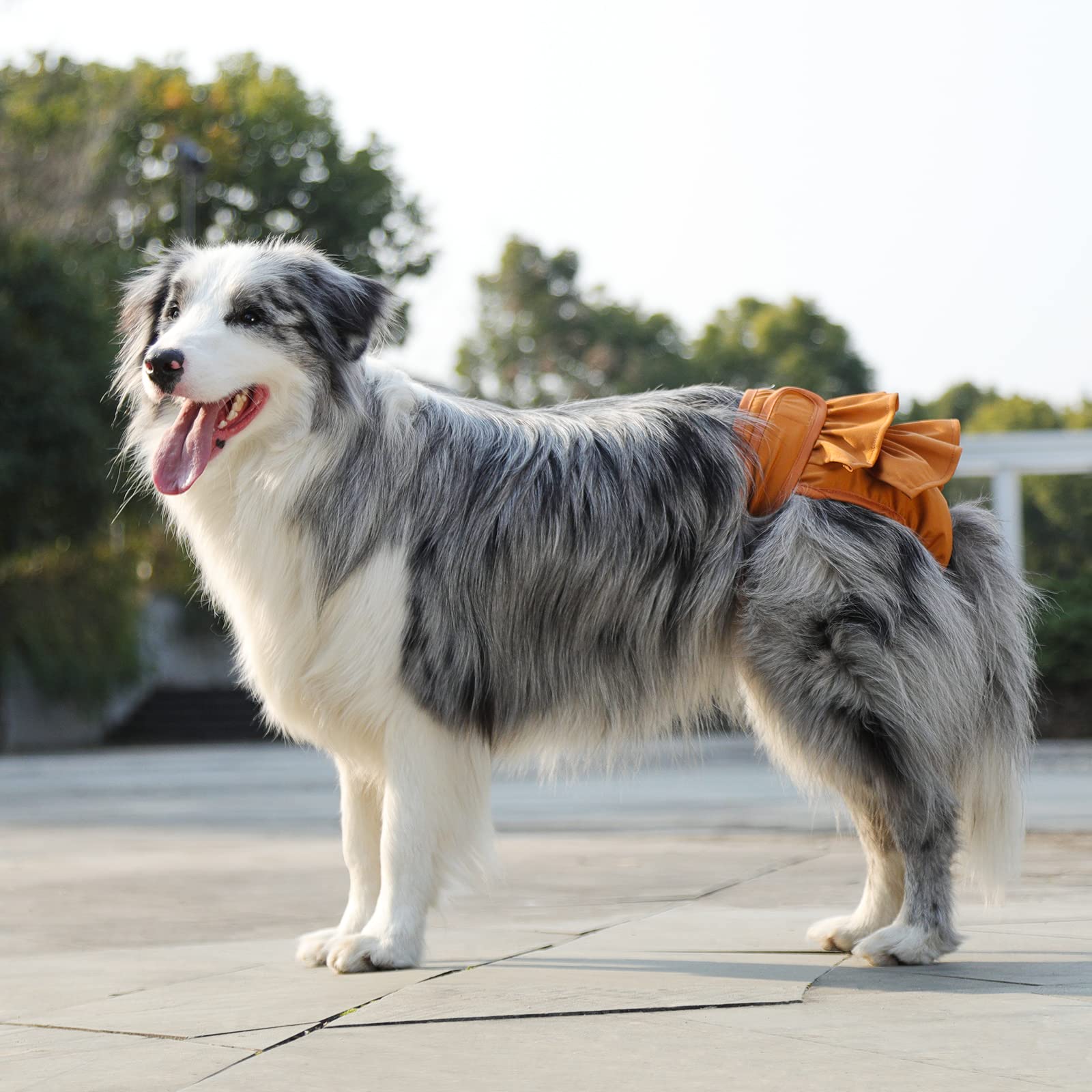 Mengelina reusable female dog diapers presented as a three-piece set.