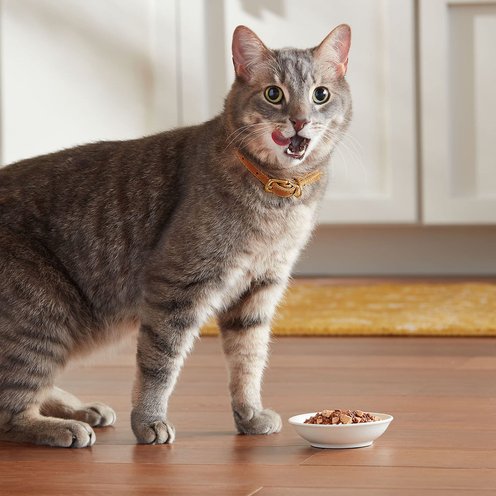 Meow Mix Poultry Selects Tenders in Sauce With REAL Chicken & Liver recipe.
