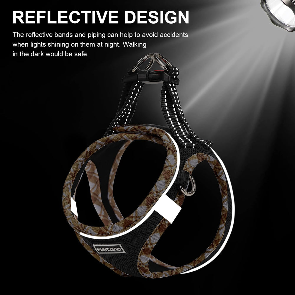 Mercano dog harness set showing the harness and matching leash together.