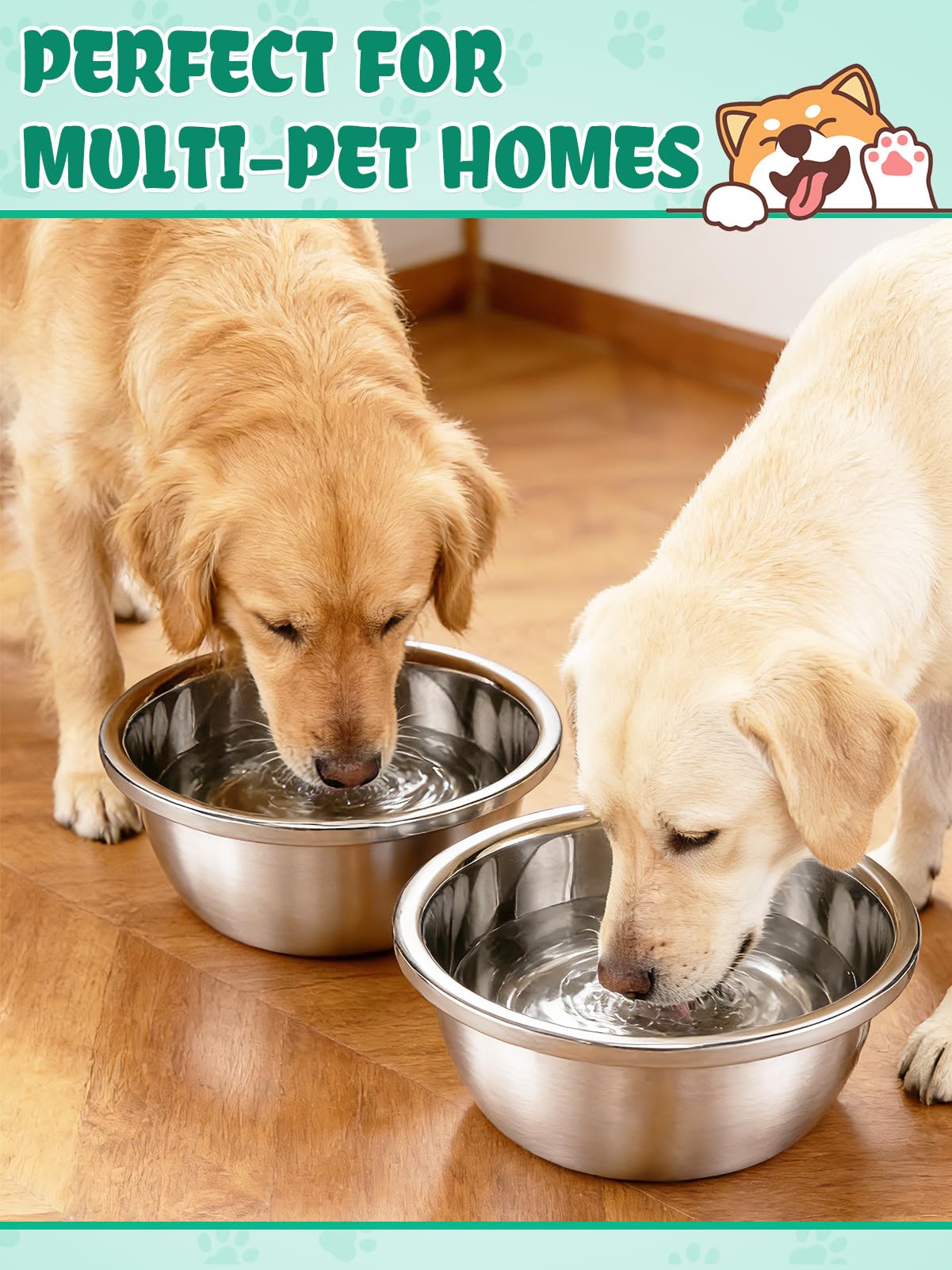 MEWTOGO dog bowls shown together for separate feeding needs.
