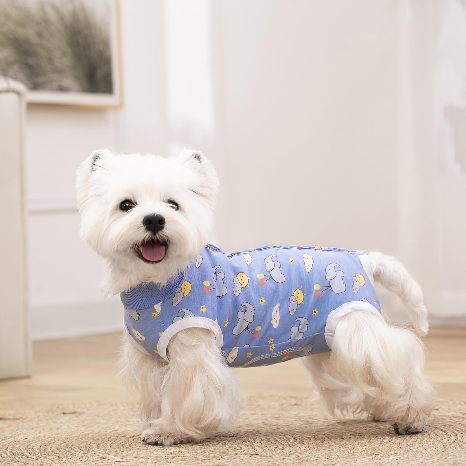 Miaododo dog recovery suit shown covering a pet’s body.