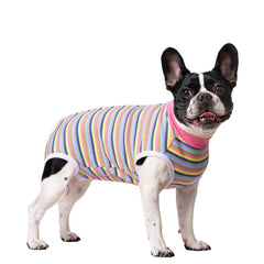 Miaododo dog recovery suit button closure shown in close-up.