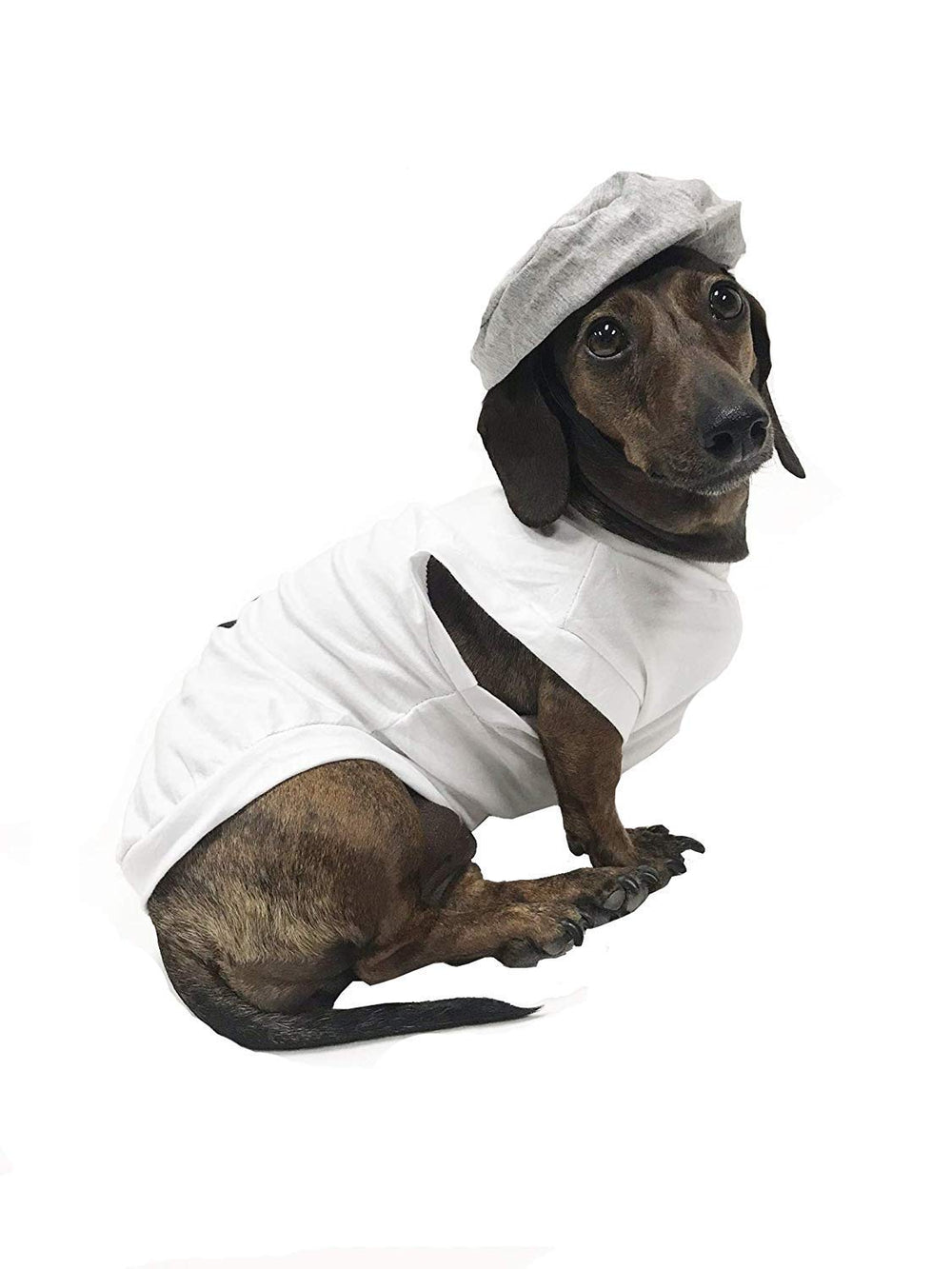 Midlee dog Halloween costume shown on a Mini Dachshund wearing Medium.