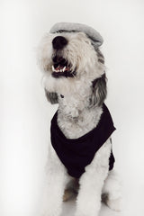 Midlee dog Halloween costume shown from a side angle.