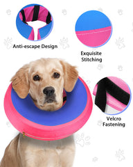 MIDOG inflatable dog collar displaying its donut-shaped design.
