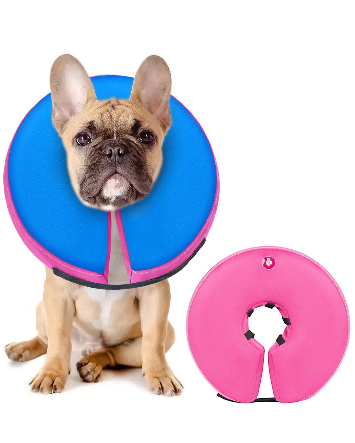 MIDOG inflatable dog collar shown from the front.
