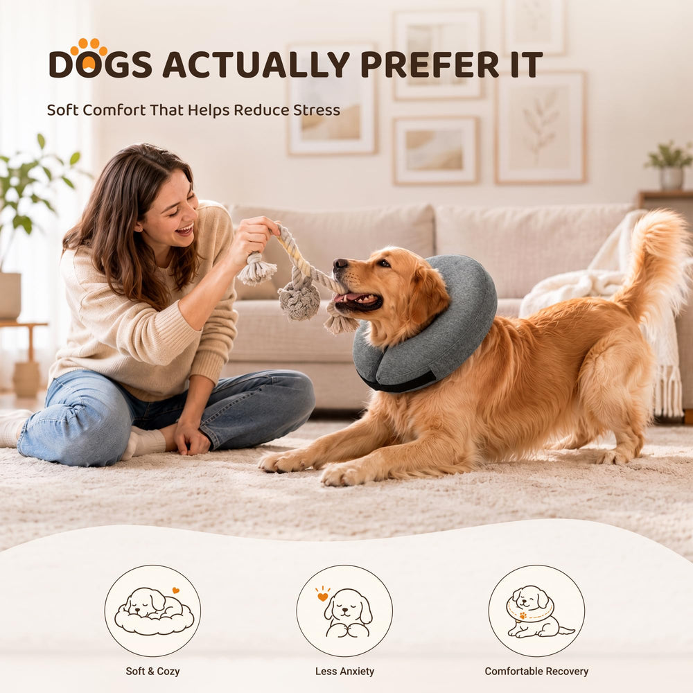 MIDOG inflatable dog collar inner loops for threading a dog's own collar.