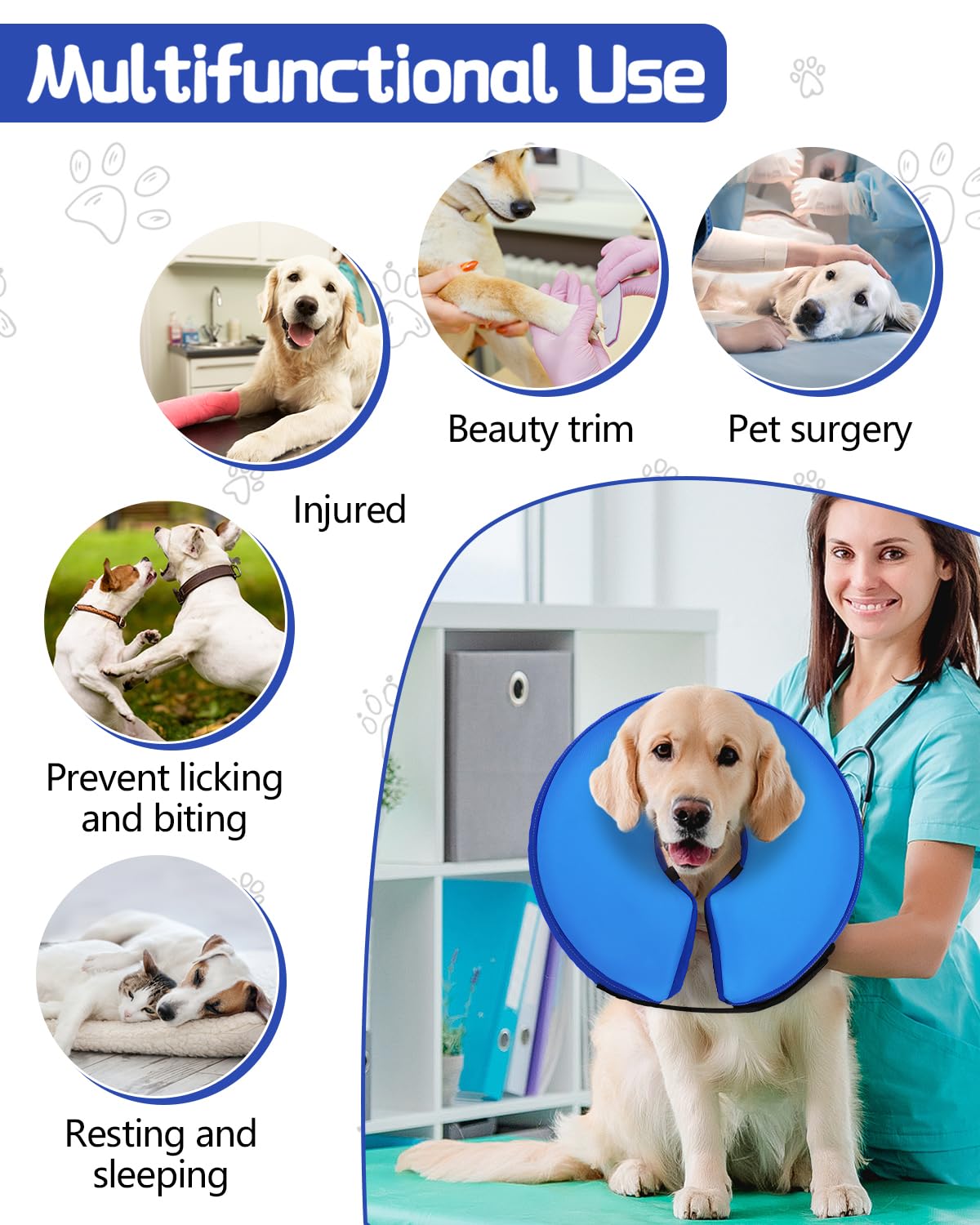 A dog wearing the MIDOG Inflatable Dog Cone.