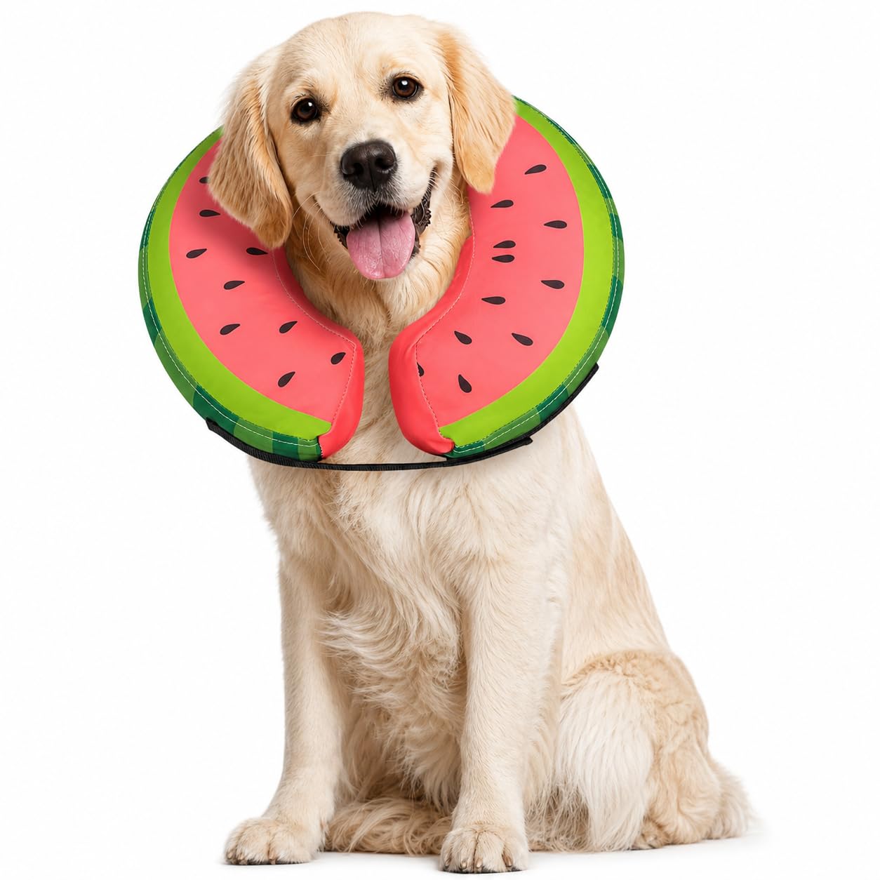 MIDOG inflatable dog cone shown from the front.