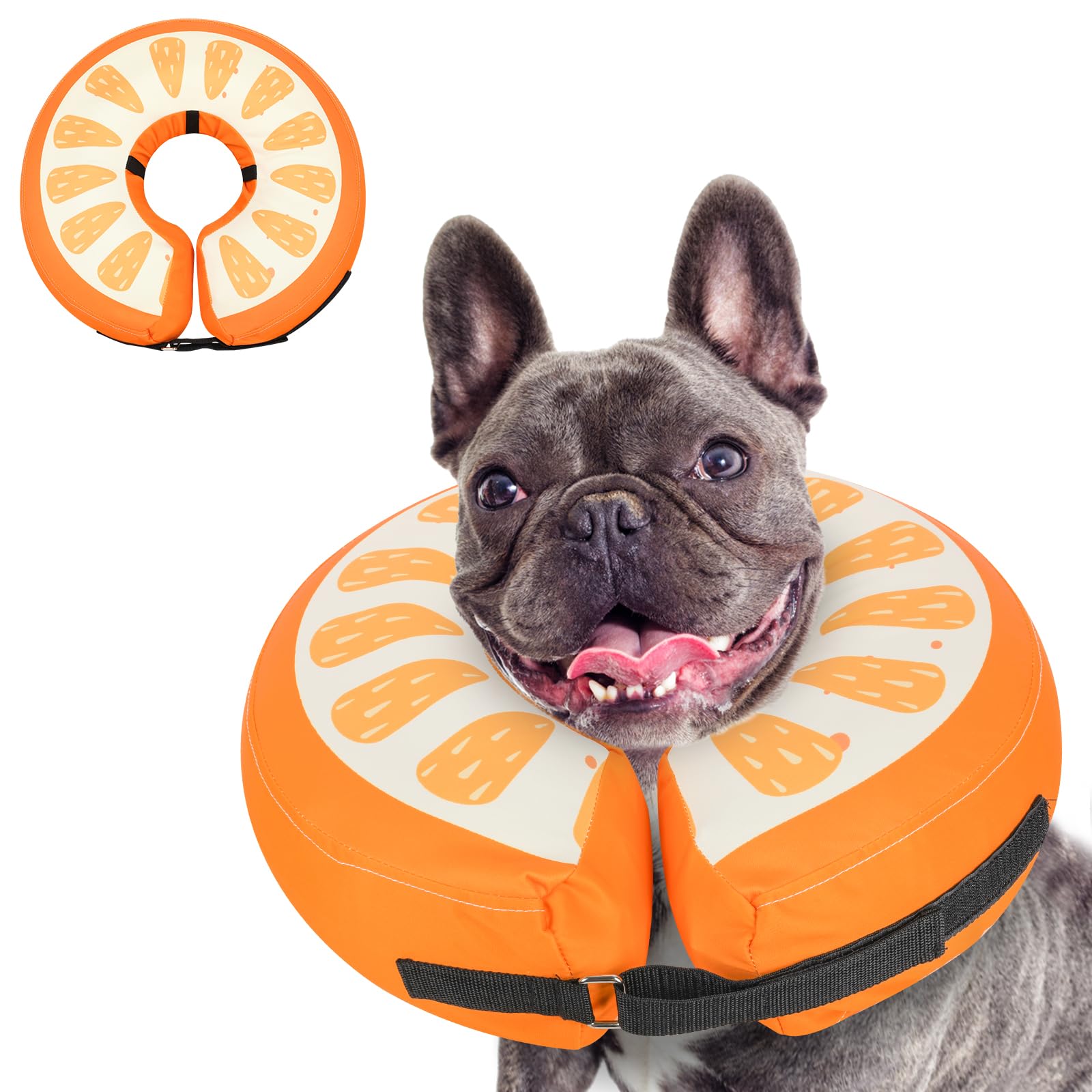 MIDOG Inflatable Dog Cone shown from the front in its donut recovery collar shape.