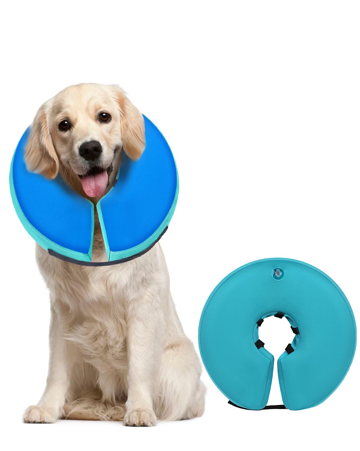 MIDOG inflatable dog cone shown from the front in its donut shape.