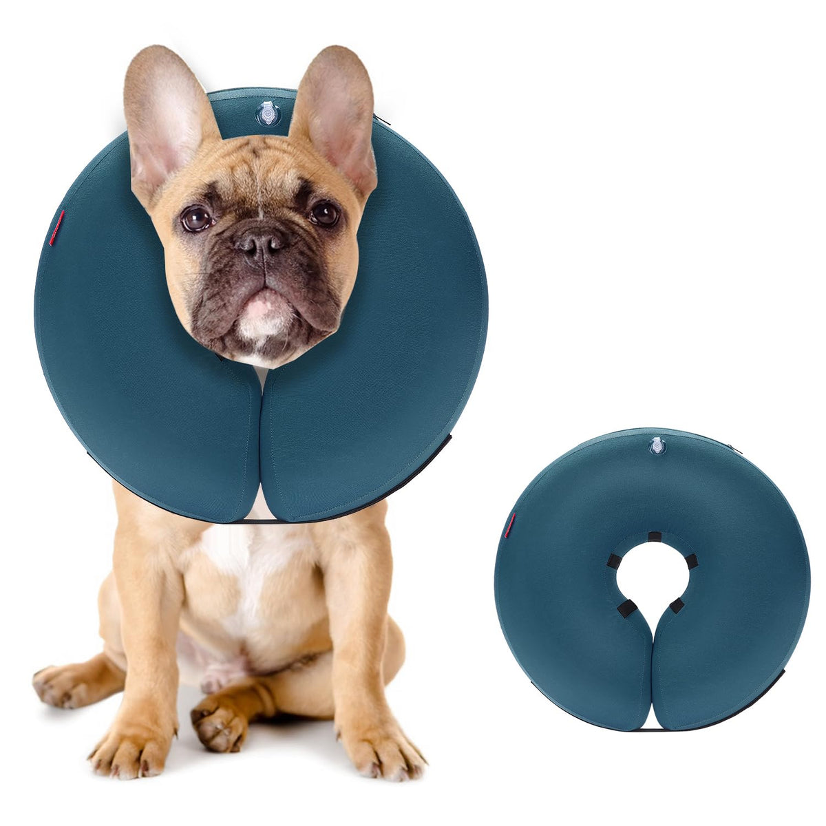 MIDOG Inflatable Dog Cone shown from the front in blue.