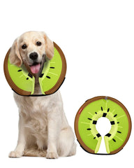 MIDOG Inflatable Dog Cone shown from the front.
