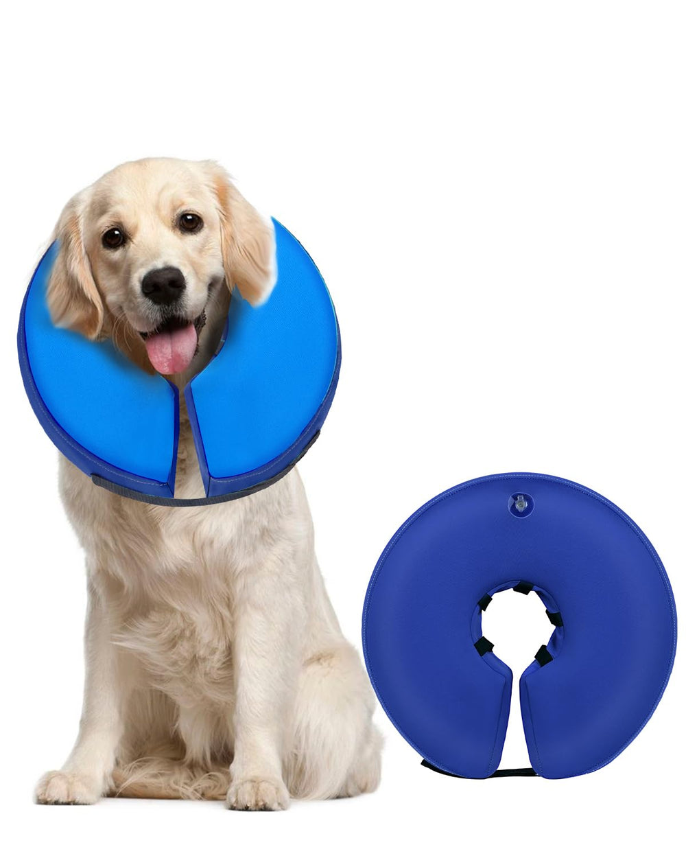MIDOG Inflatable Dog Cone shown from the front.