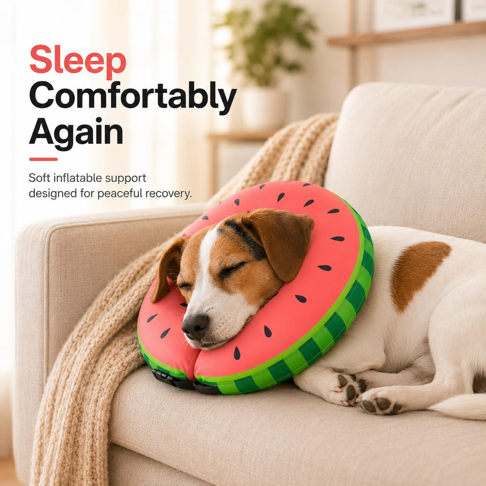 Inner collar loops on the MIDOG inflatable dog cone.