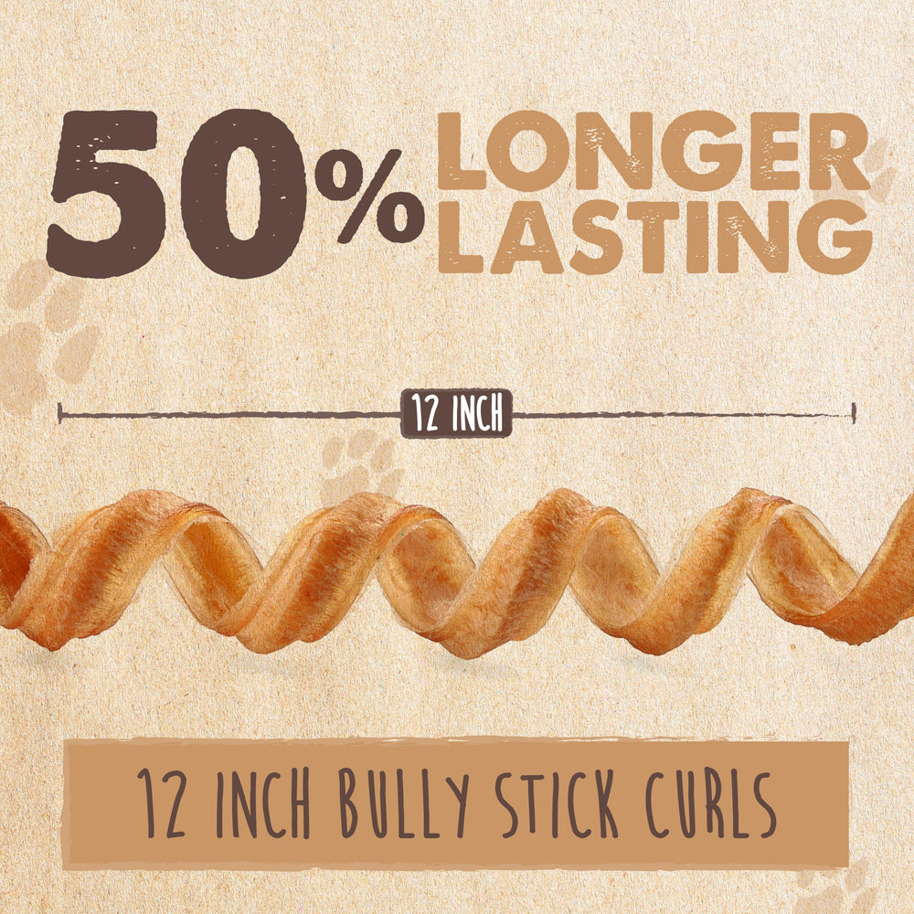A dog chewing a Mighty Paw Bully Stick.