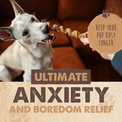 Mighty Paw Bully Sticks displayed as a five-piece pack of 12-inch chews.