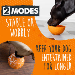 Mighty Paw Dog Slow Feeder Bowl used by a dog for licking.