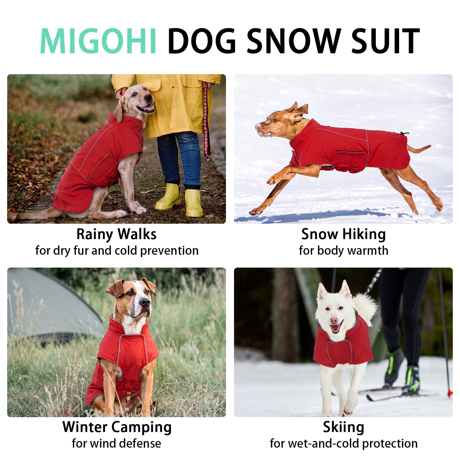 MIGOHI dog jacket shown for rainy outdoor conditions.