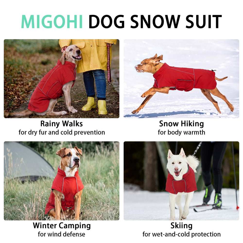 MIGOHI dog jacket shown for rainy outdoor conditions.