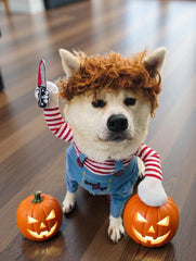 Mikayoo pet costume showing the adjustable neck and chest straps.