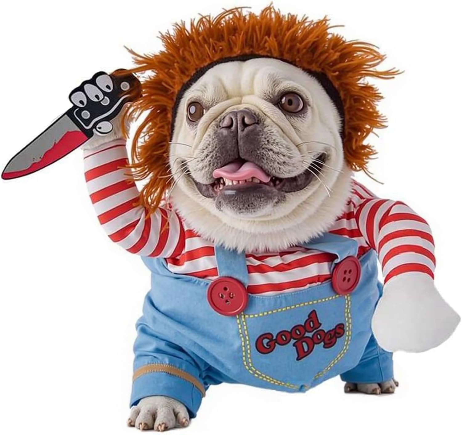 Mikayoo pet costume shown from the front with its deadly doll styling.