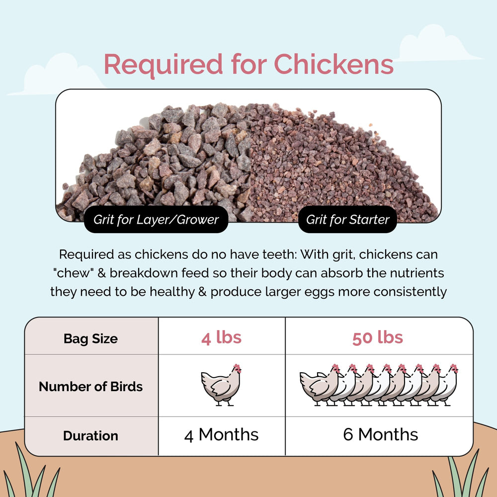 Mile Four Chicken Grit Layer & Grower in its 4 lb quantity.