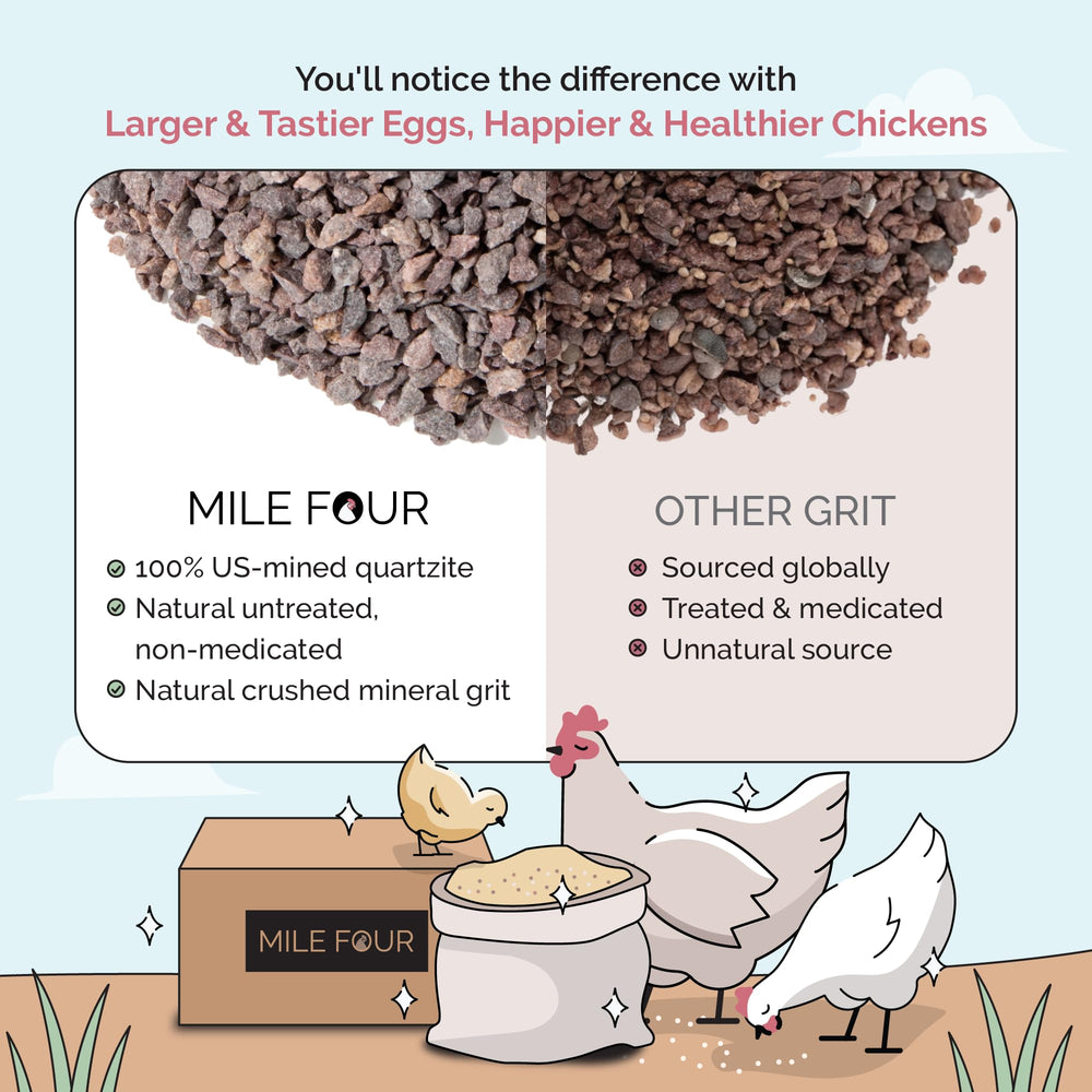 Mile Four Chicken Grit Layer & Grower shown for a group of growing chickens.