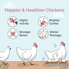 Mile Four Chicken Grit Layer & Grower offered in a separate feeder.
